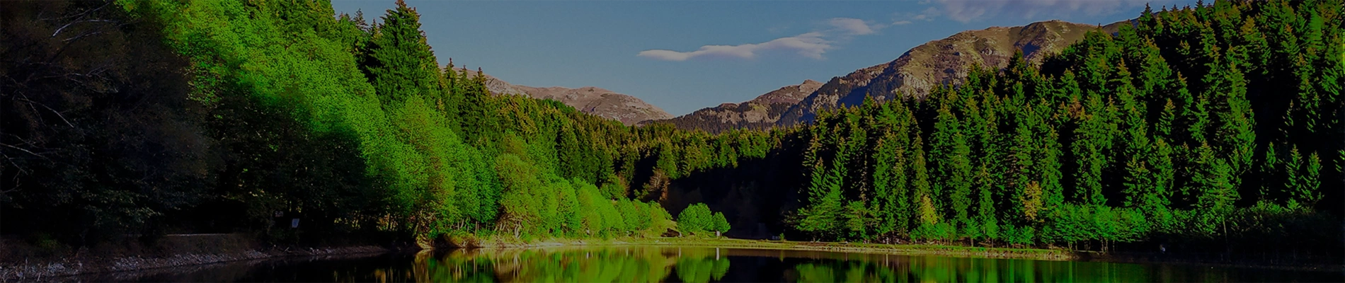 Sustentabilidade Banner